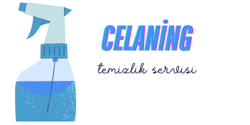 Cleaning Services